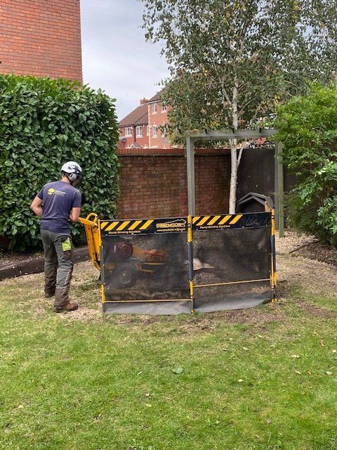 tree stump grinding