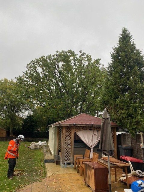 tree redution after pic