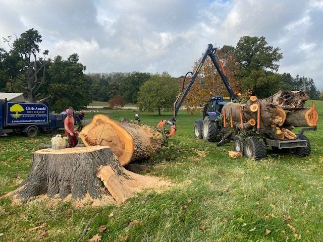 tree removal with tractor
