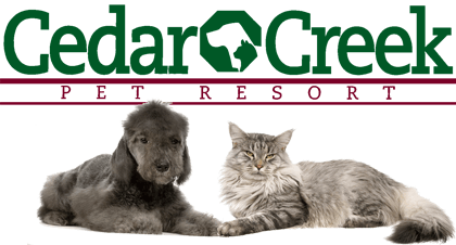 A dog and a cat are laying next to each other in front of the cedar creek pet resort logo
