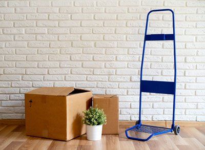 move in boxes