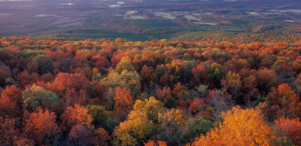 fall in AR