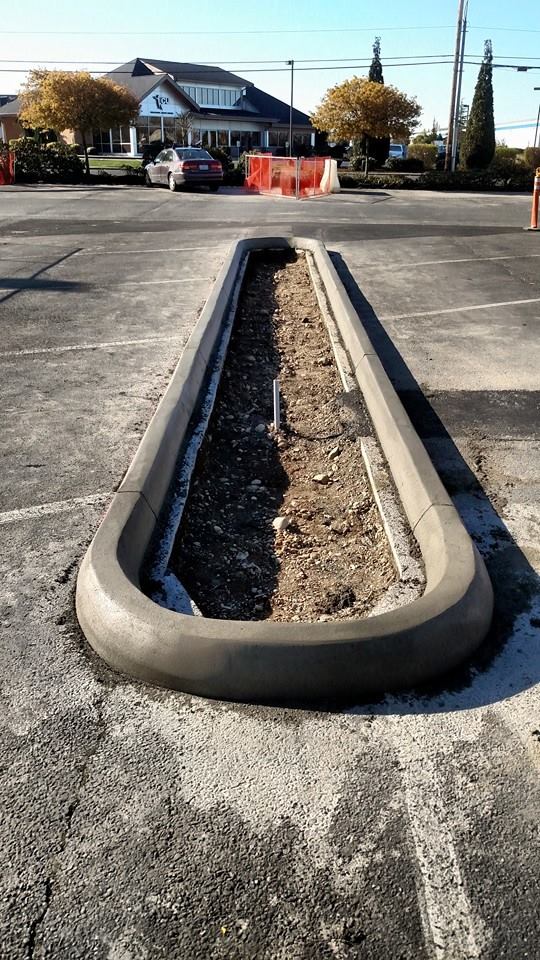 Extruded Curbing Bellingham WA