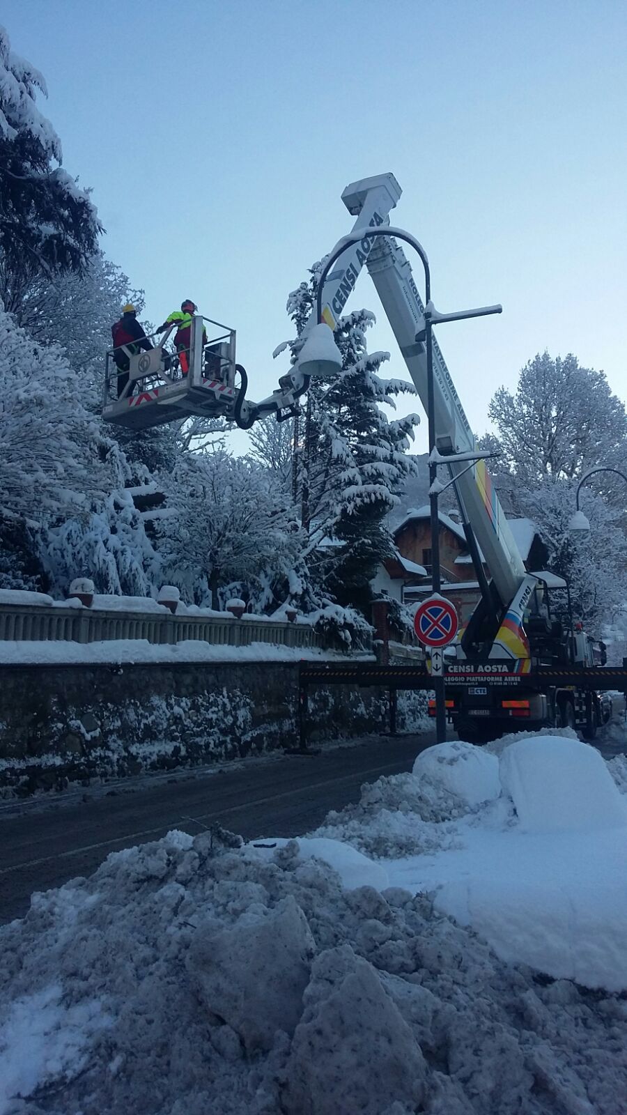 Servizio di abbattimento albero