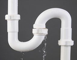 Plumbing Leak — Fort Myers, FL — Panther Plumbing Inc. Plumbing Leak — Fort Myers, FL — Panther Plumbing Inc.