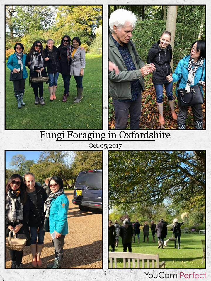 Latest activities from 2016 to 2017 11