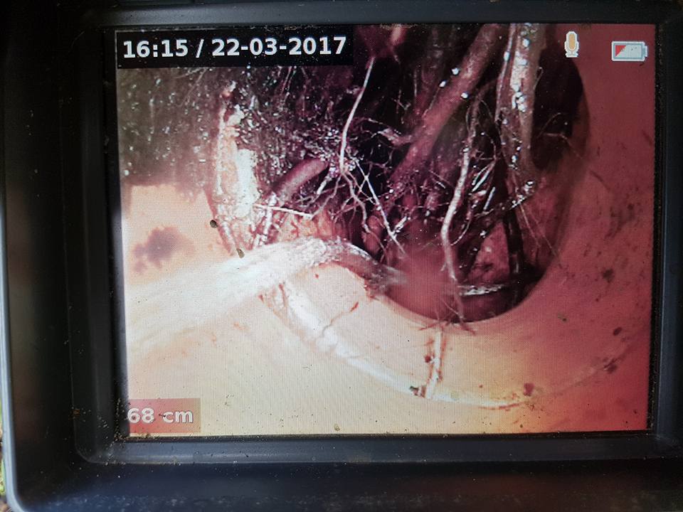Drain Blocked With Tree Roots — Plumbers in Forster, NSW Drain Blocked With Tree Roots — Plumbers in Forster, NSW