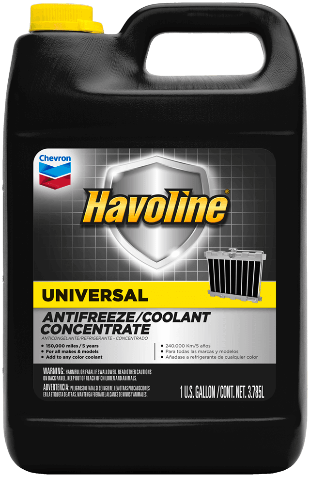 Motor Oil Service Citrus Heights