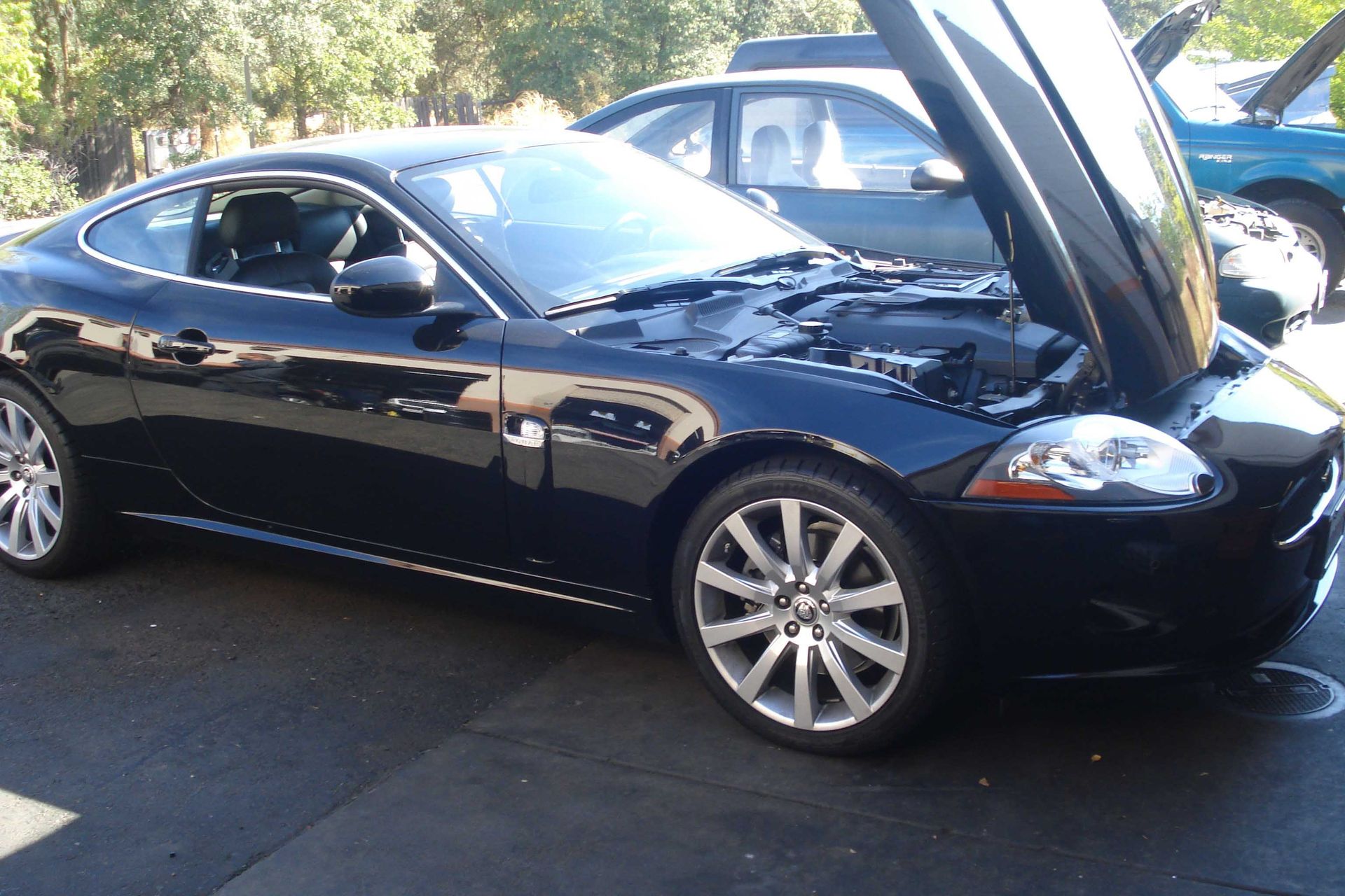 Jaguar