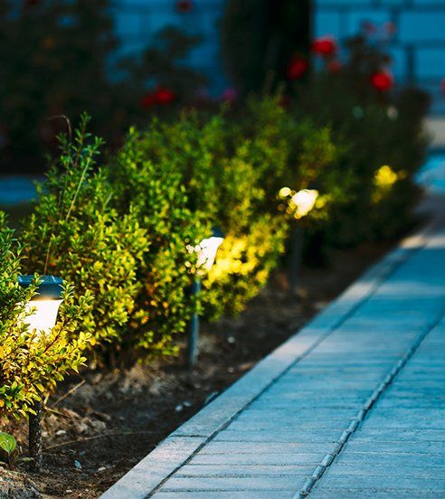Installation — Lighting Near The Plants in Raleigh, NC