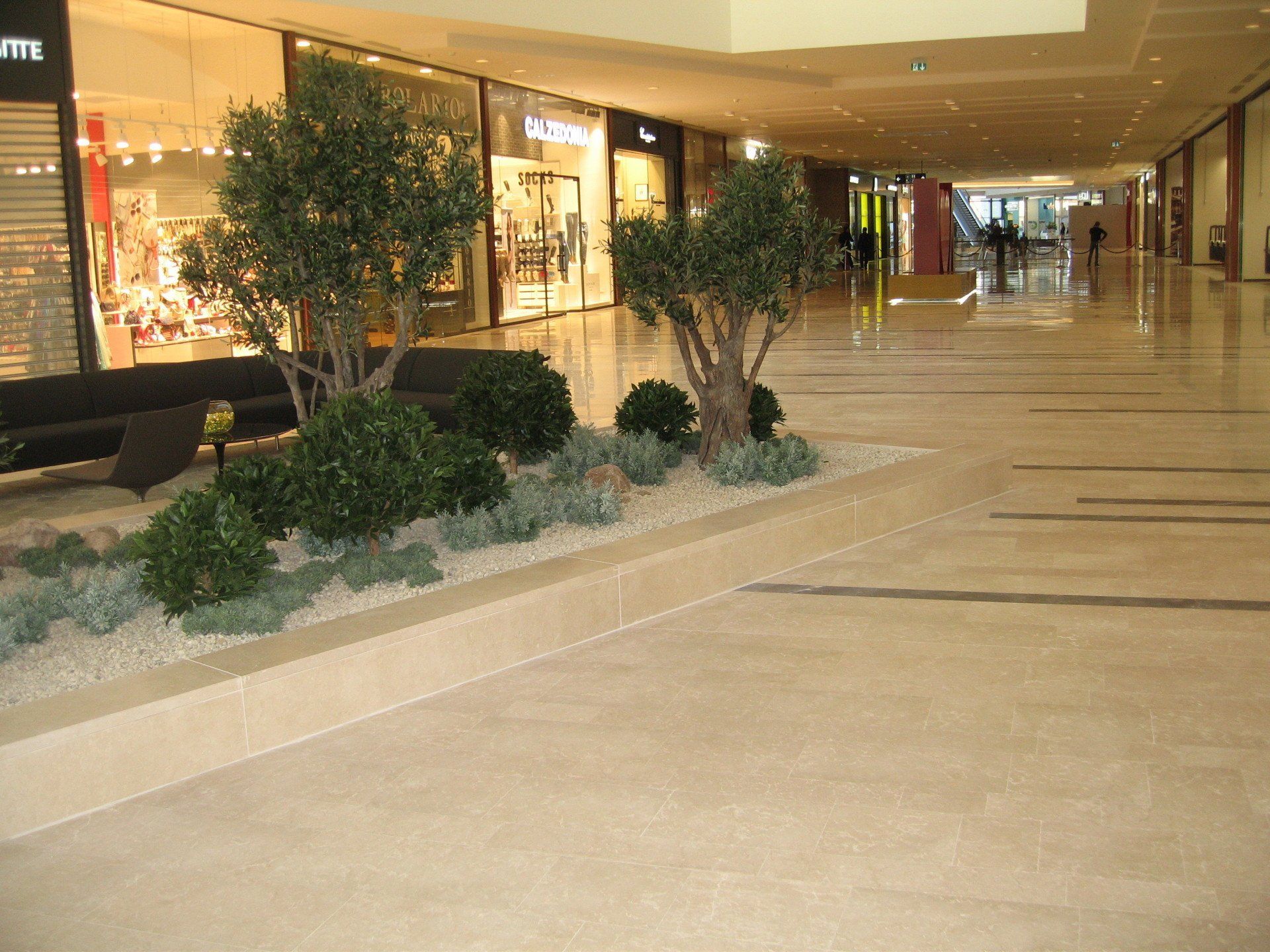 Adigeo - Foto 2