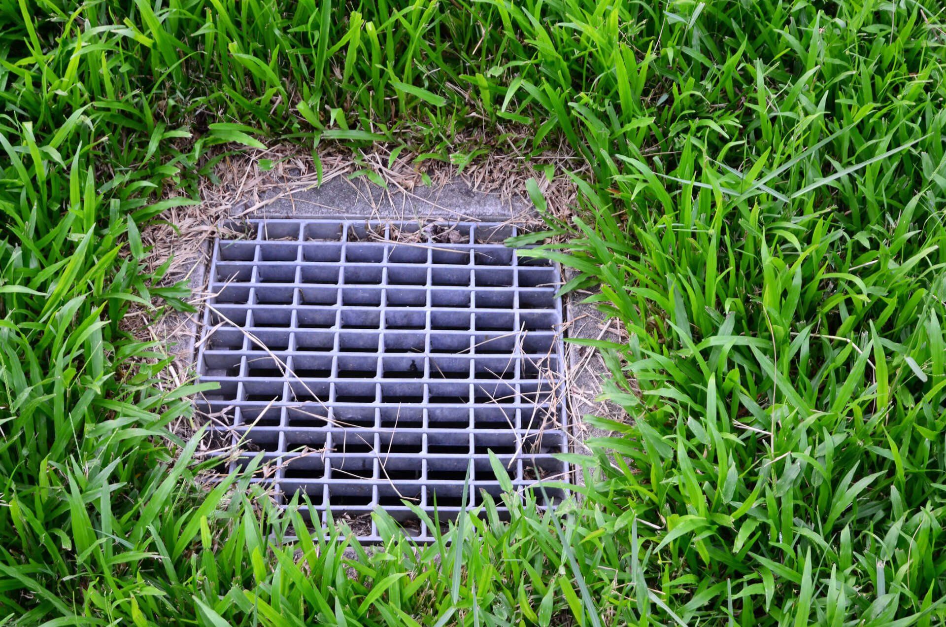 Drainage — Melbourne, FL — Eau Gallie Wholesale Nursery Inc
