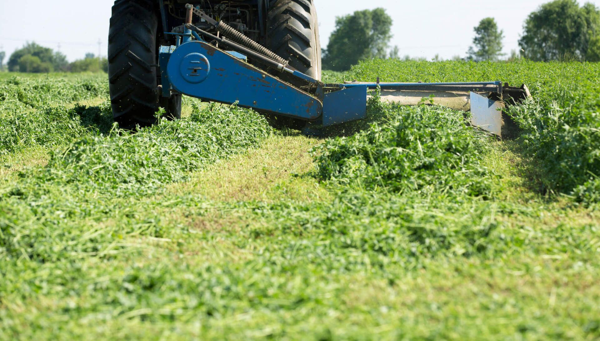 Mowing Field — Melbourne, FL — Eau Gallie Wholesale Nursery Inc.