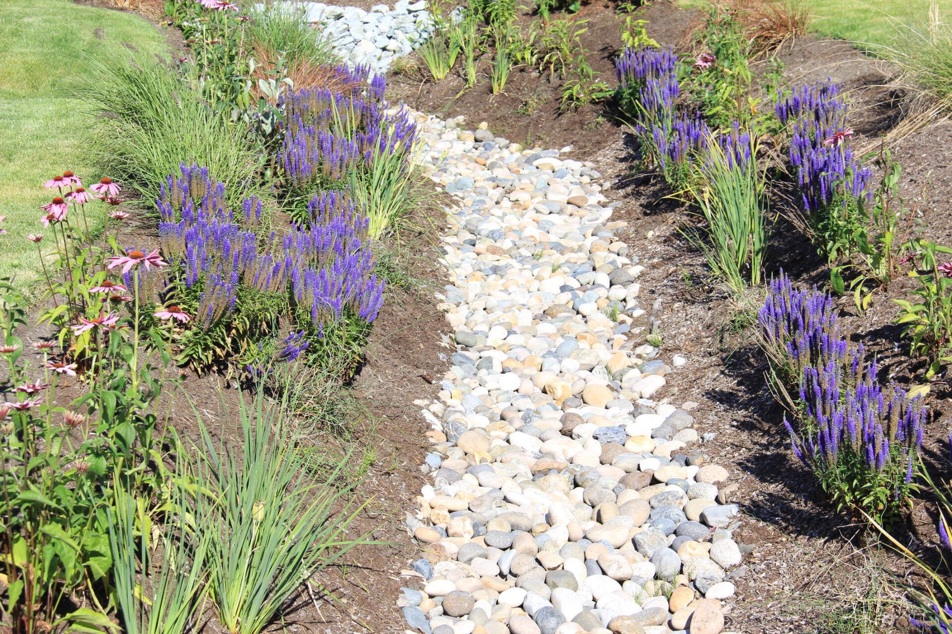 Dry Drainage — Melbourne, FL — Eau Gallie Wholesale Nursery Inc.