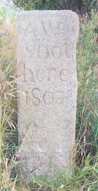 Alexander Williamson's Memorial Stone.