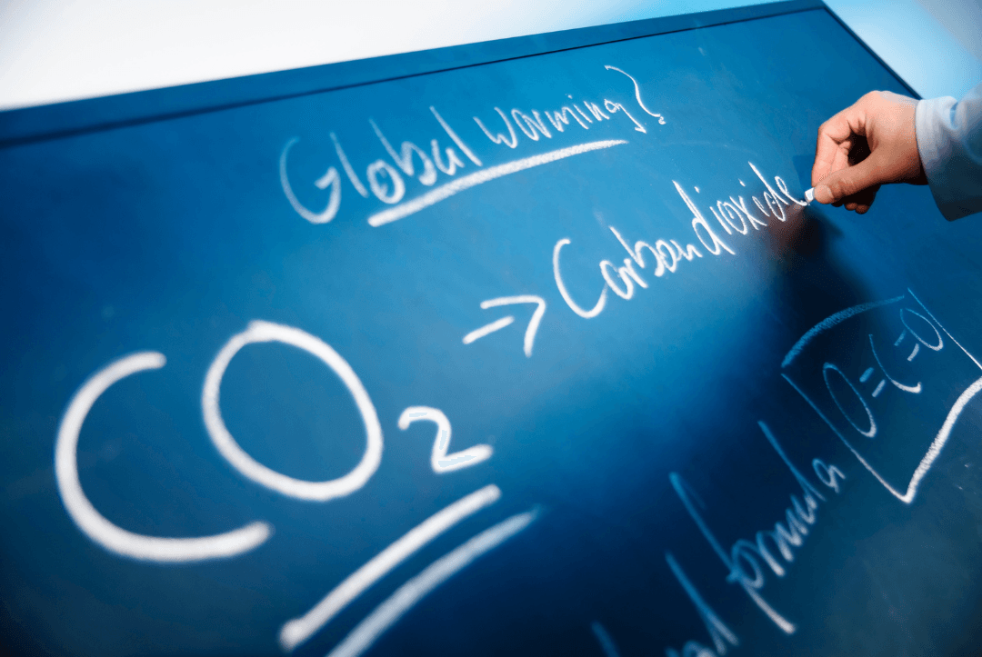 Why blue carbon is a natural growth sector for Singapore and Asean