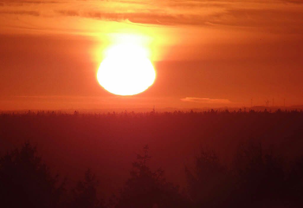 Die Sonne geht über einem Wald mit Bäumen im Vordergrund unter.