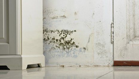 condensation services condensation services