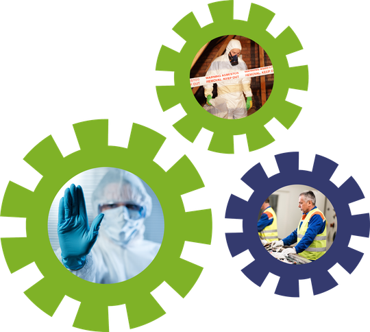 octogon solutions ltd asbestos
