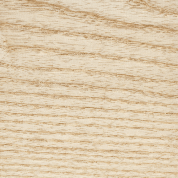 Murmaration Ash  Plinth