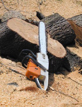 Tim Harrison Tree Services - Suffolk - Chainsaw and Stumps Tim Harrison Tree Services - Suffolk - Chainsaw and Stumps
