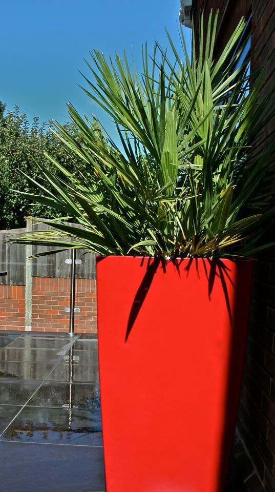 garden plant in a red pot