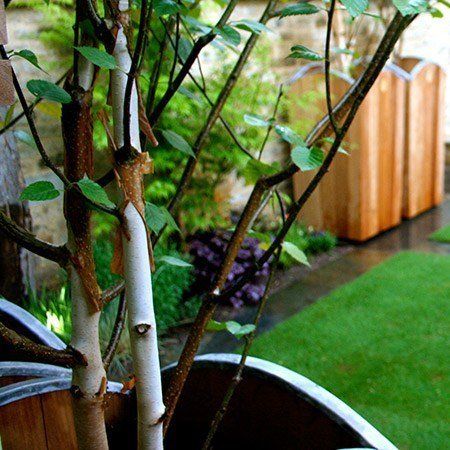 planter in the garden