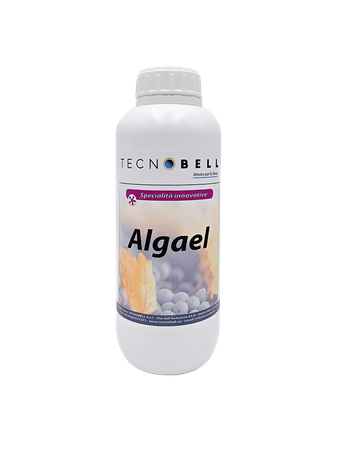 Biostimolante con alghe Biostimolante con alghe