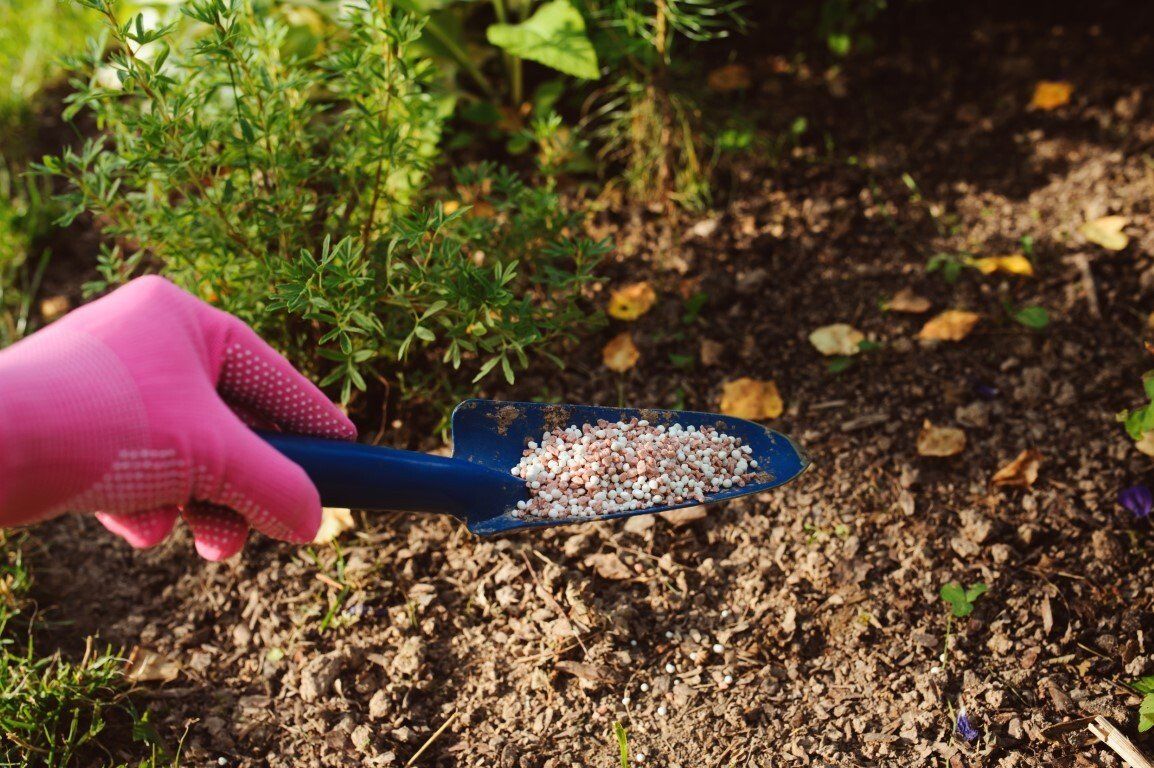 Biological solutions bring benefits to crops and protect the environment