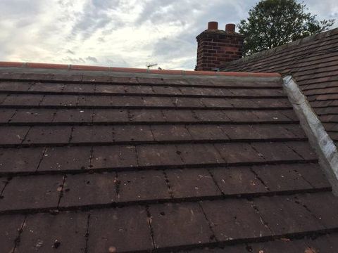 roof maintenance 