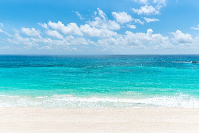 Clear Ocean Water — Clearwater, FL — Coastal Marine Education and Research Academy Clear Ocean Water — Clearwater, FL — Coastal Marine Education and Research Academy