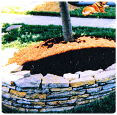 Dry Stack Wall, Hardscape Services in Durham, NC Dry Stack Wall, Hardscape Services in Durham, NC