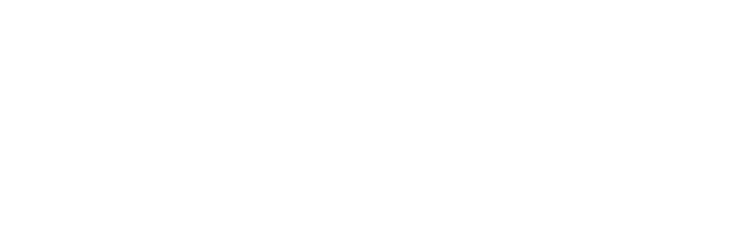 triton stone group logo