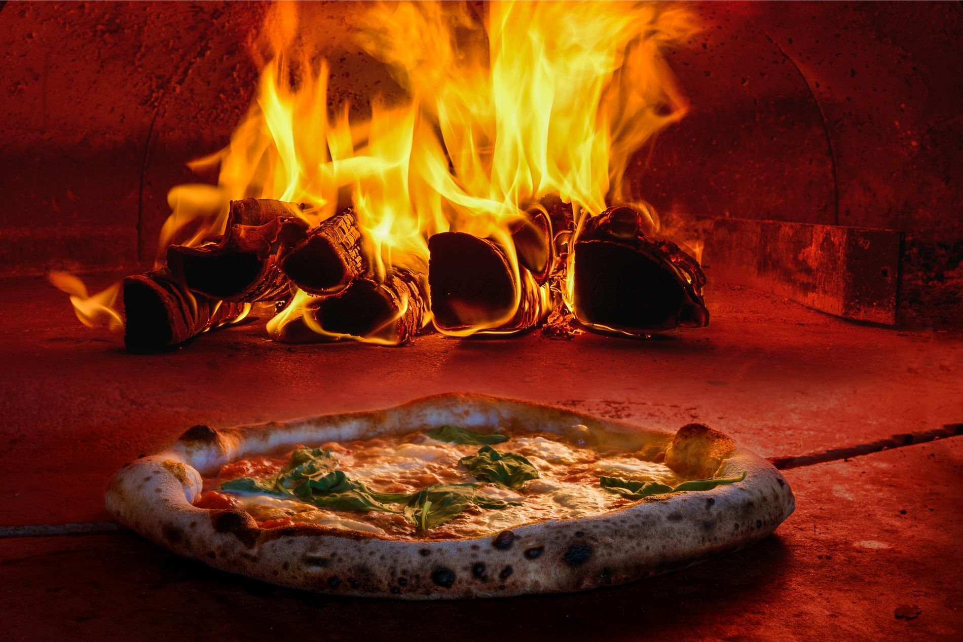 Forno a legna per pizze