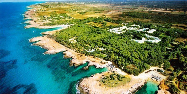 veduta aerea di una spiaggia con alberi