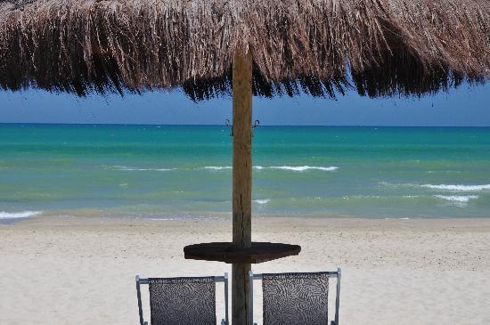Due sedie sotto l'ombrellone su una spiaggia con il mare sullo sfondo