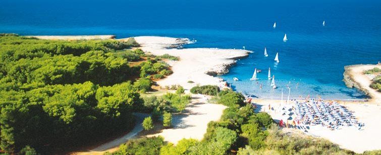 Una veduta aerea di una spiaggia circondata da alberi