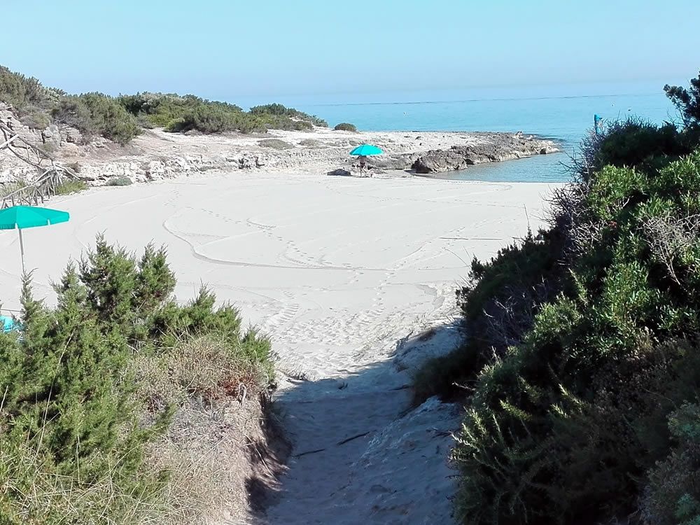 Un sentiero che conduce ad una spiaggia con un ombrellone blu