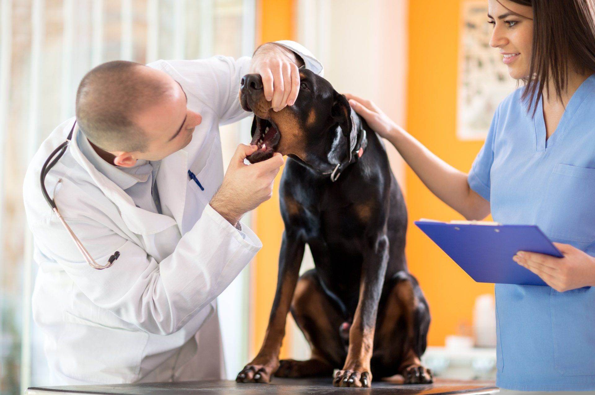 Dental Care - Dental checkup  in Mullica Hill, NJ