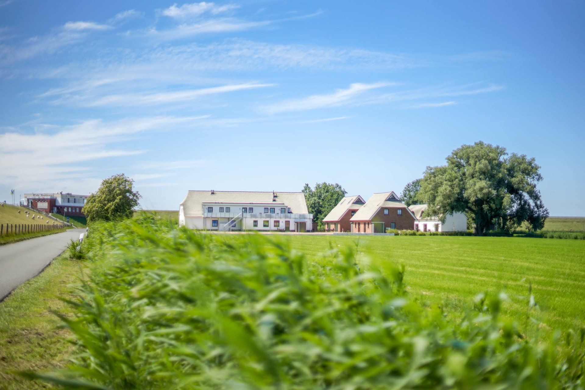 Ferienanlage mit mehreren Gebäuden und Grünfläche.