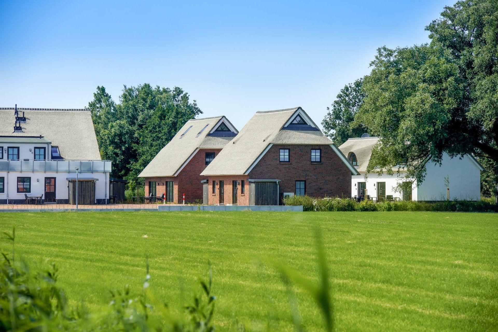 Blick auf ein weißes Gebäude mit Reetdach, aufgenommen zwischen Geländer und Dachkante.