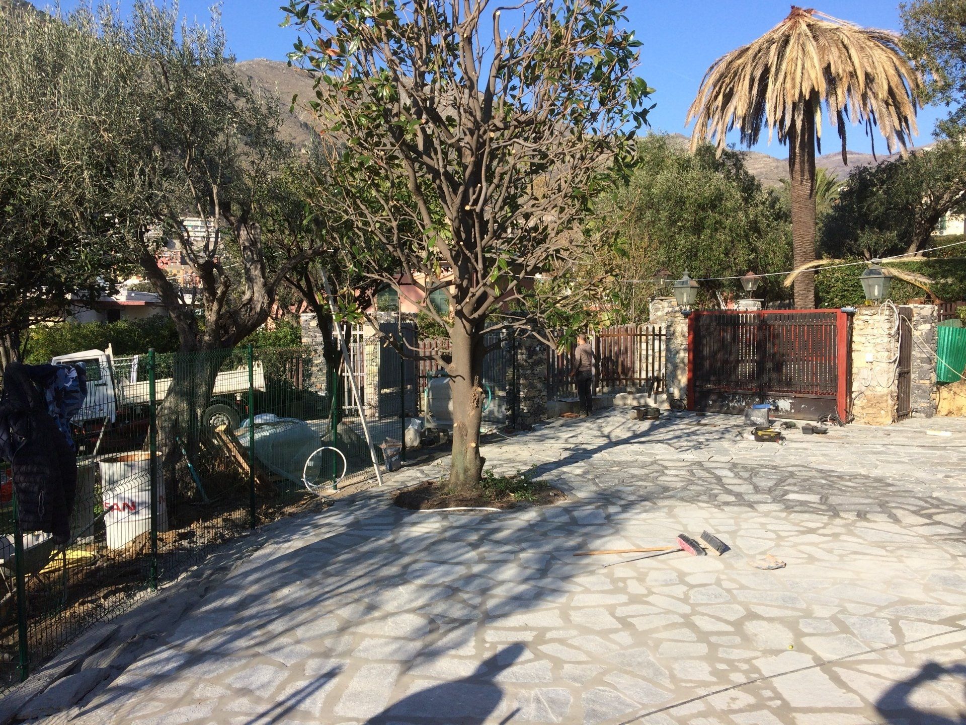 Un cortile alberato con pavimentazione in pietra, un cancello e diversi altri alberi, con una palma visibile sullo sfondo.