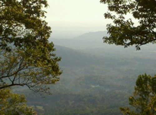 Trees and Mountains View — Hazardous Tree Removal in Midlothian, VA