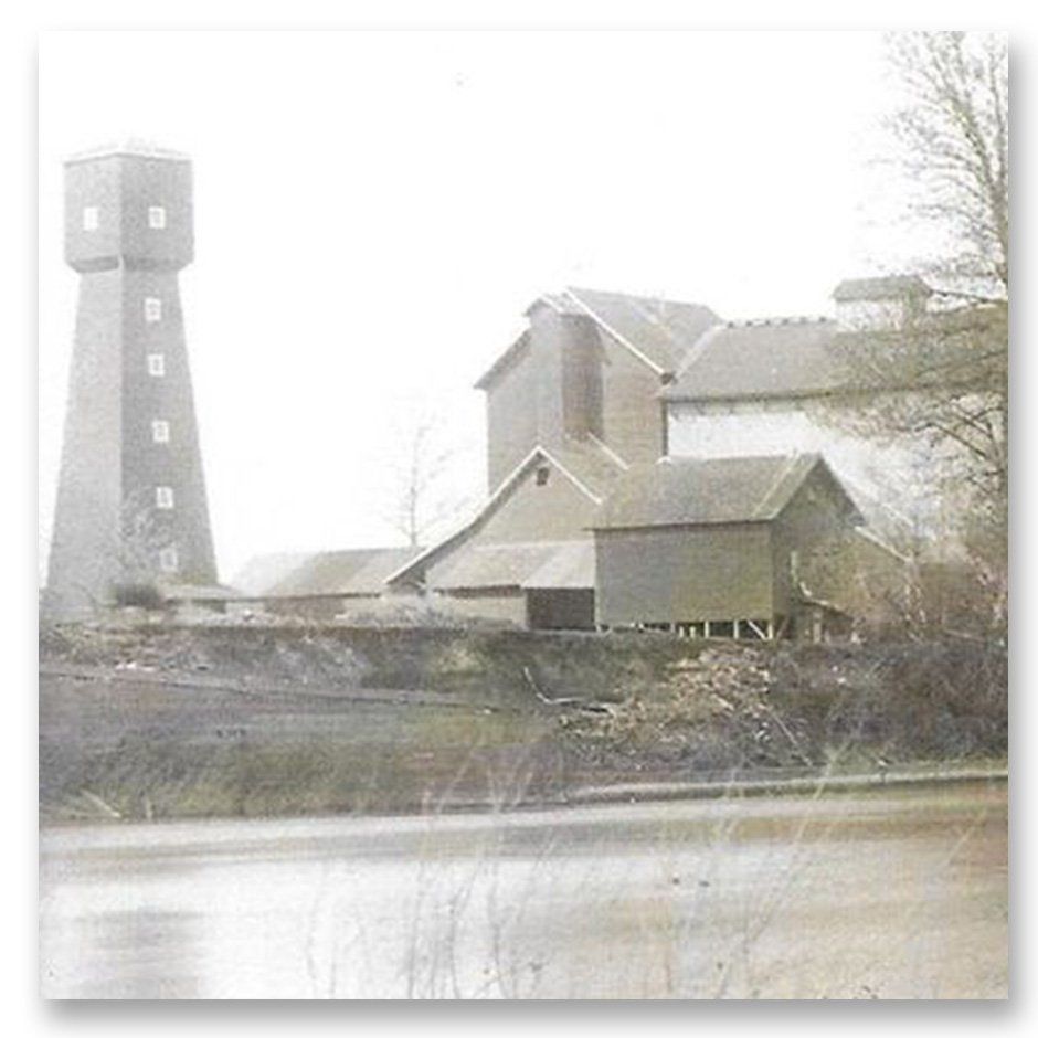 THE CORVALLIS MILL RACE - Phillip Sollins, Professor of Forest Ecology and Soils, Emeritus College of Forestry, Oregon State University