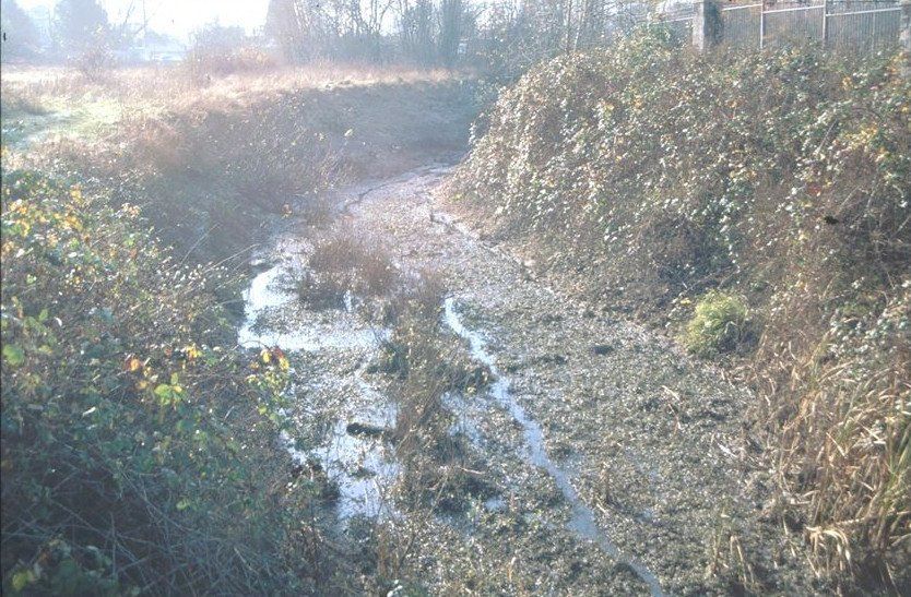 View upstream from bridge at Crystal Lake Dr.