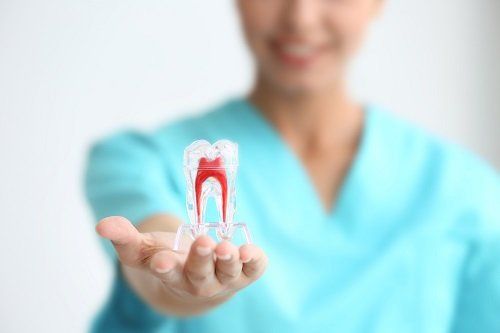 Modellino in 3D di un dente