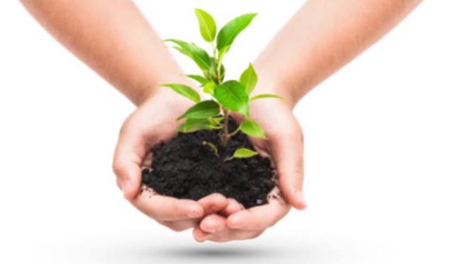 Rappresentazione della funzione dei fertilizzanti