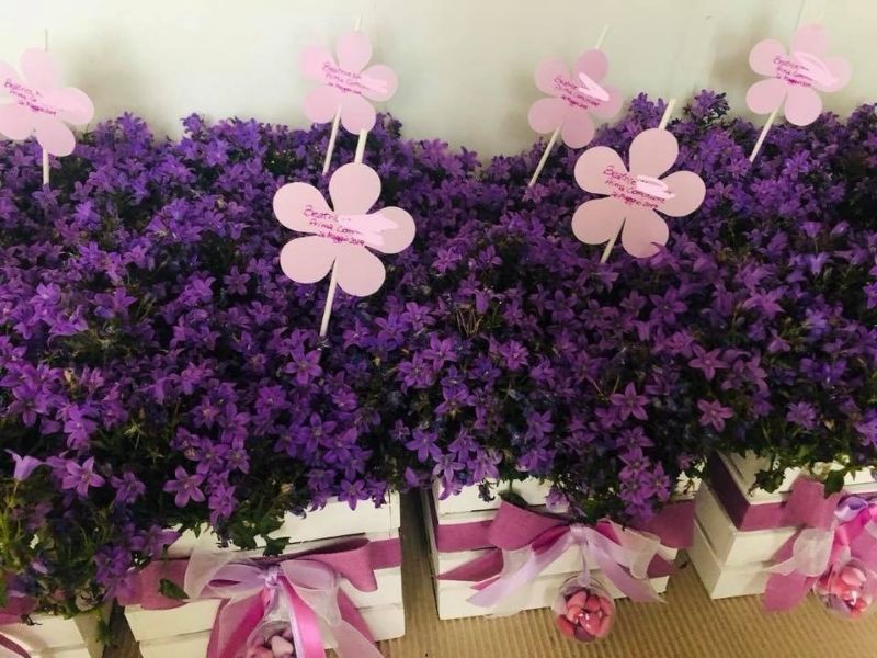 Cestini di fiori con decorazioni
