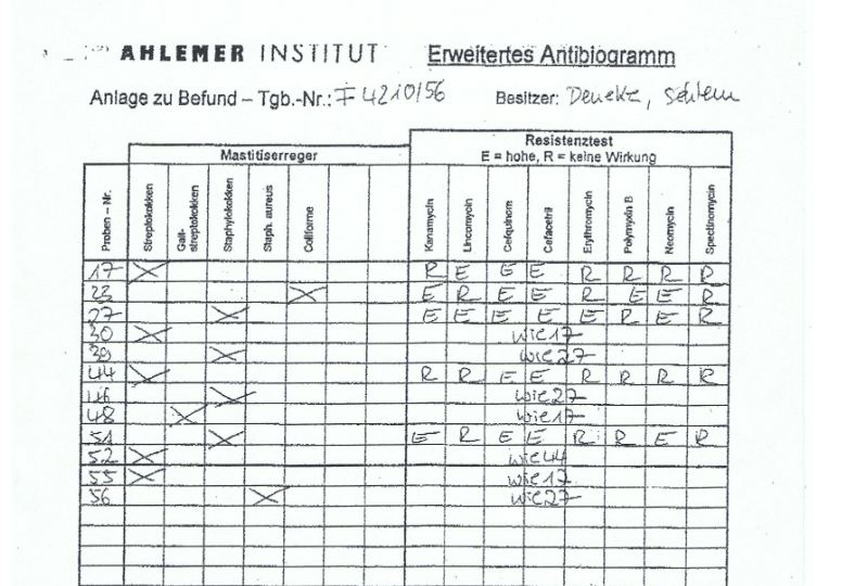 Ein Blatt Papier mit vielen Zahlen darauf