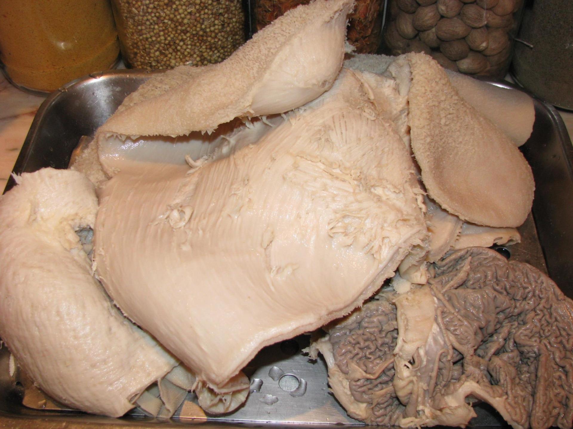 carne per bollito
